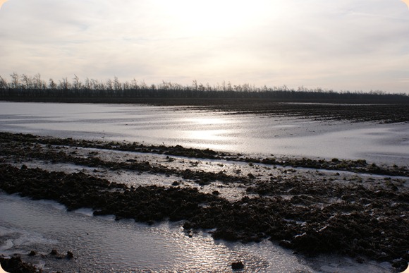 DSC05057 DSC05057
