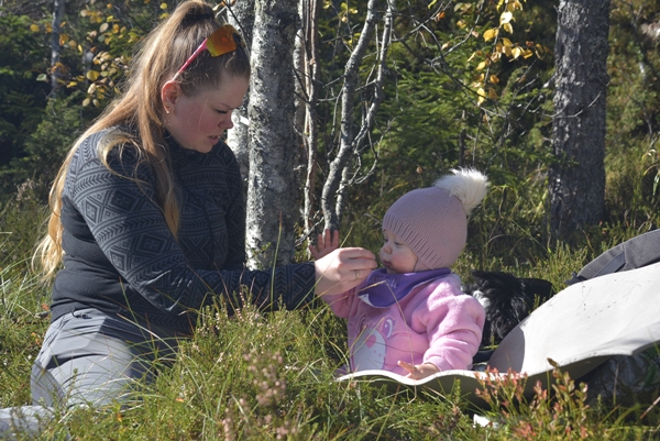 kollsjøen urdevasselva