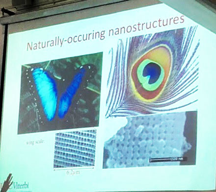 Professor Povinelli shows examples of pigmentless color in nature due to nanostructures (Source: Palmia Observatory)