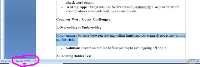 Method 3: Check Word Count for Selected Text