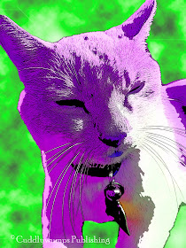 Real Cat Webster in raspberry on green