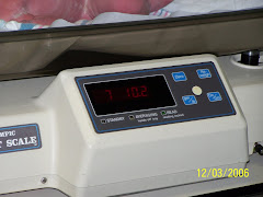 Cannon's weight