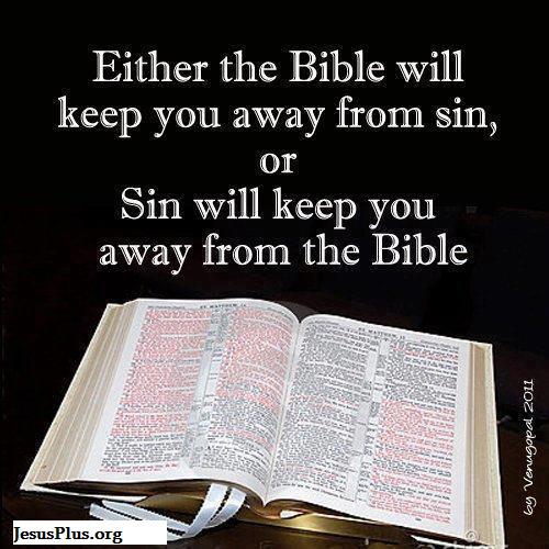 About Bible
