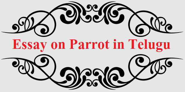 Essay on Parrot in Telugu