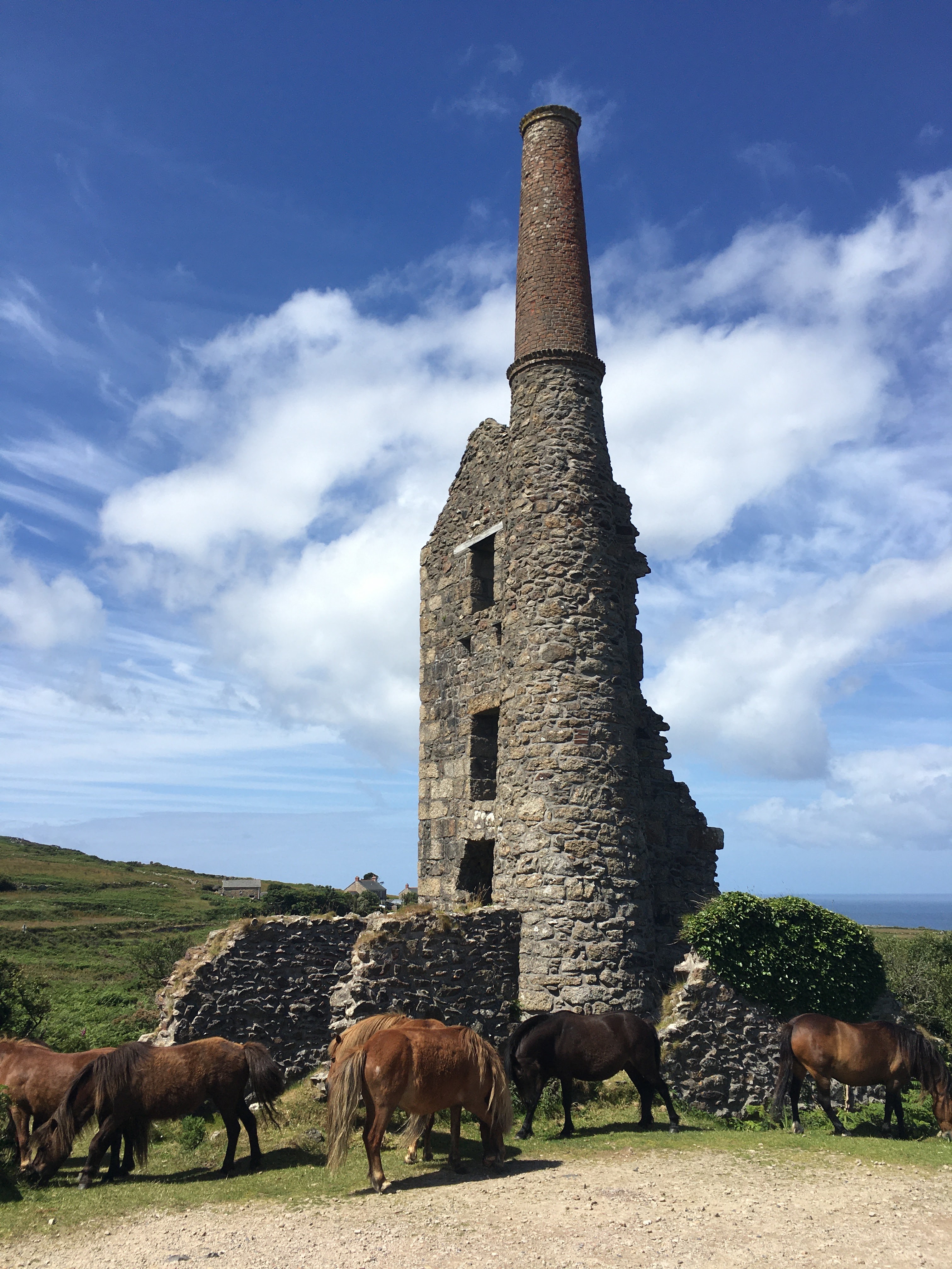 Mining history tour in Cornwall