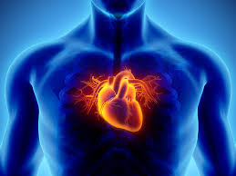 CORONARY ARTERYÂ DISEASE (CAD)