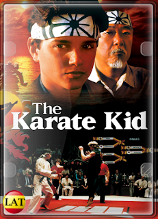 Karate Kid, El Momento de la Verdad (1984) DVDRIP LATINO