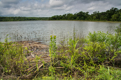 Greer Island, Fort Worth Nature Center