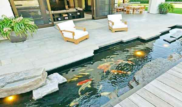 10 Desain  Kolam  Ikan Hias Depan Rumah Idaman Taman Rumah