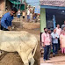 चंद्रपुरात लम्पी रोग: राजुरा तालुक्यात 15 गावांतील जनावरांचे नि:शुल्क लसीकरण | Batmi Express
