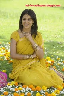 Genelia D Souza Wallpapers