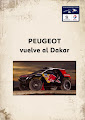 Peugeot 2008 DKR info