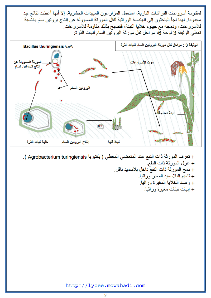  الهندسة الوراثية : مبادئها و تقنياتها -