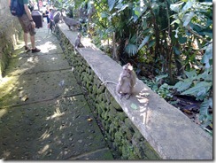 IMG_20160728_145447