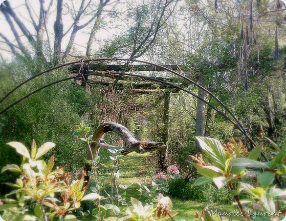 le-jardin-de-Momo-016