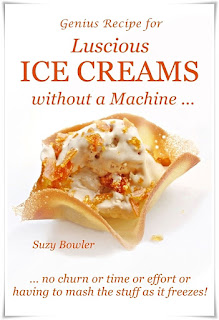 ultimate homemade ice cream recipe book