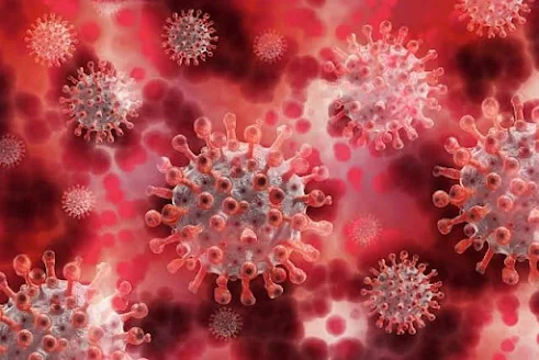 COVID-19 adalah  penyakit yang disebabkan Novel Coronavirus 2019. walau memiliki gejala yang sangat mirip dengan flu biasa, namun memiliki fatalitas/penyebab kematian  yang tinggi.    Gb. Gerd Altmann dari Pixabay   Virus ini menyebar  sangat cepat dari satu orang berpindah  ke orang lain  tanpa menunjukan gejala.