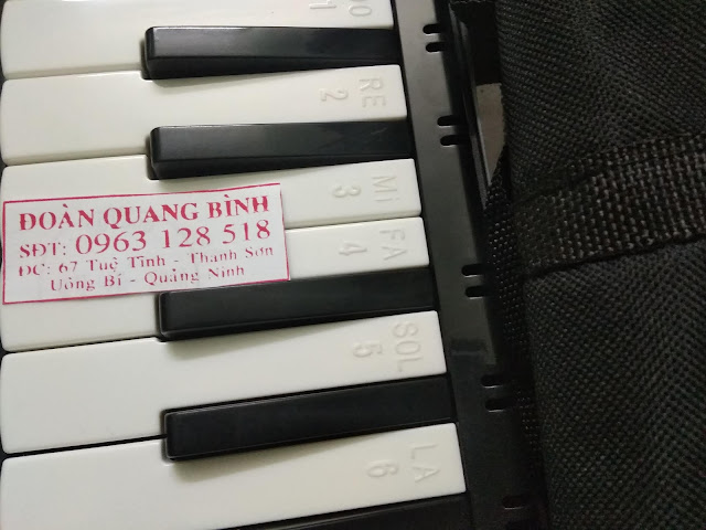 mua melodica - huong dan melodica