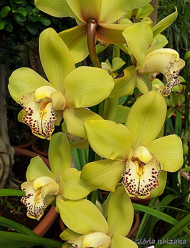 20120817_155119