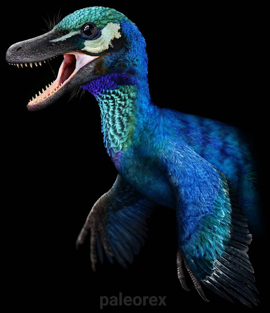 Пирораптор (Pyroraptor)
