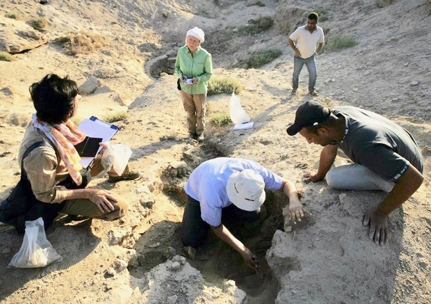 Rain uncovers 75 ancient artefacts in Iraq