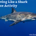 Surviving Like a Shark Energy Transfer Game