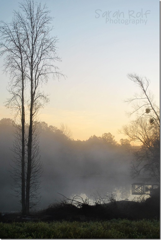 foggy-dawn-at-pond