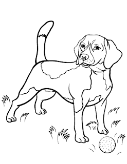 Dog Coloring Pages ,  Puppy Coloring Pages,  Dog Coloring Book, Dog Colors , Dog Coloring 