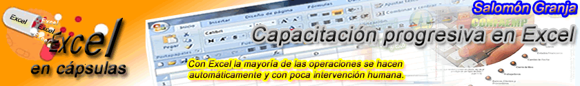 Excel en cápsulas