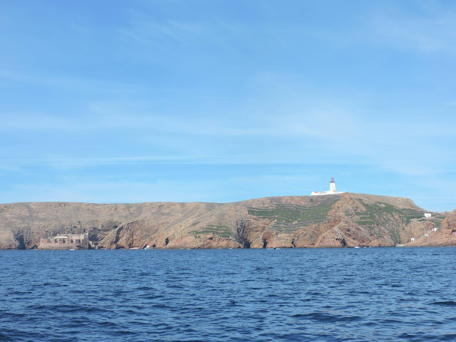 Visiting Berlenga Island