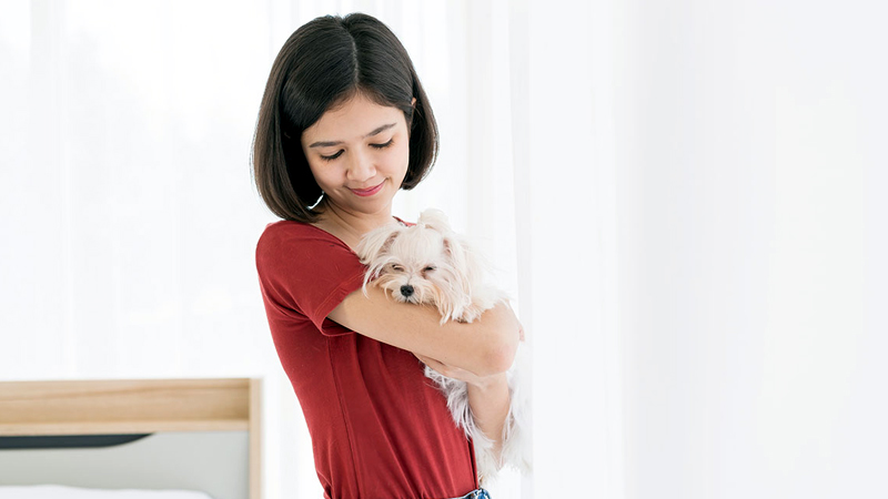 What To Prepare For Your Pet’s First Few Days At Home