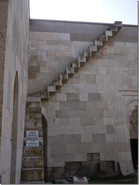 P1150803