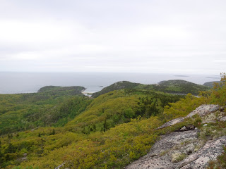 Champlain Ridge Swamp Acadia