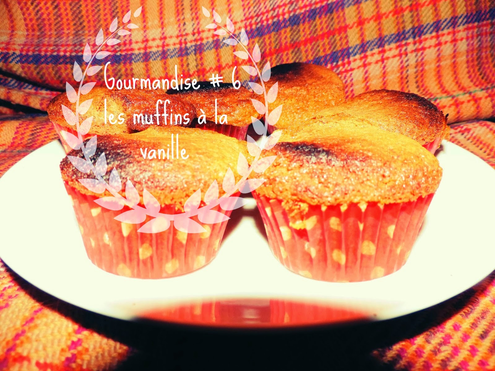 http://mynameisgeorges.blogspot.com/2014/03/gourmandise-7-les-muffins-tout-simple.html