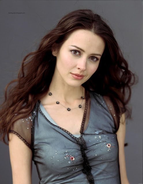 Amy Acker HD Wallpapers Free Download