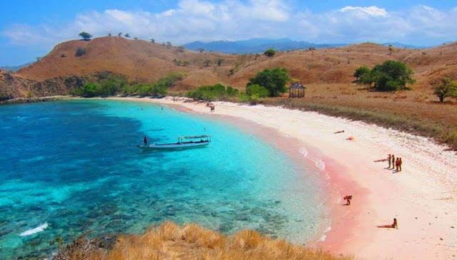 pantai pink lombok