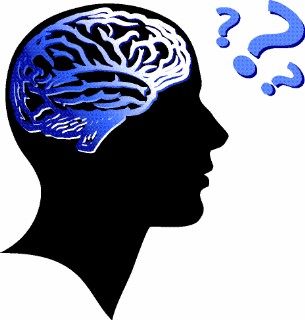 Brain Questions1