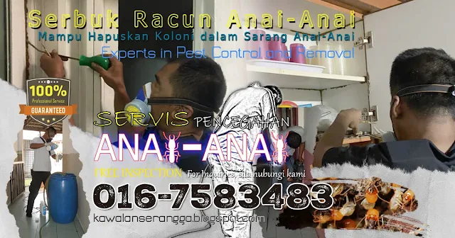 serbuk racun anai-anai serbuk racun anai-anai