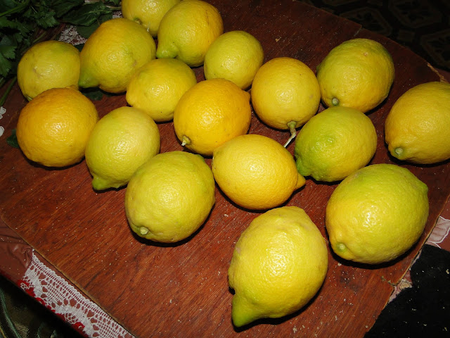 Moroccan lemon -lemony - Berkane