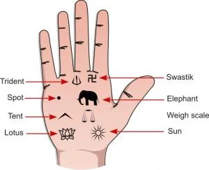 Names of Lines In Hindu Palmistry