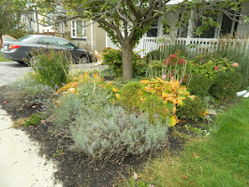 Birch Cliff Toronto Fall Cleanup before by Paul Jung Gardening Services