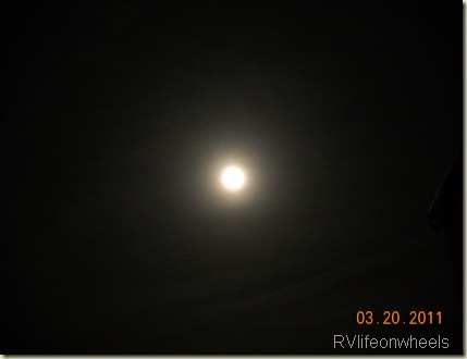 DSCN8537