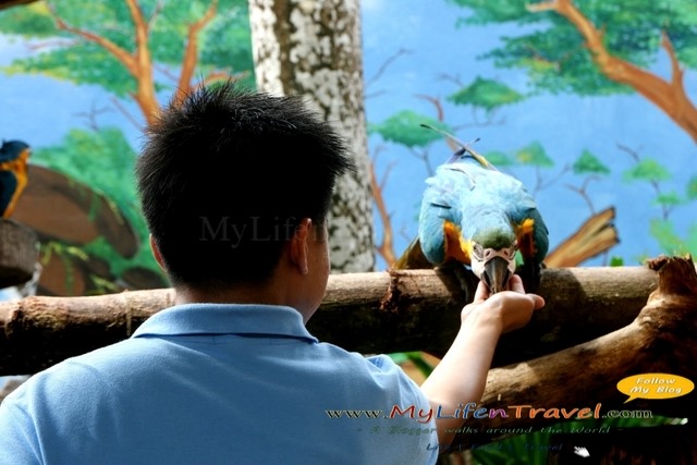 Langkawi Wildlife Park