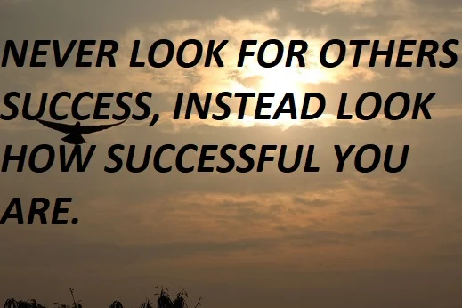 NEVER LOOK FOR OTHERS SUCCESS, INSTEAD LOOK HOW SUCCESSFUL YOU ARE.