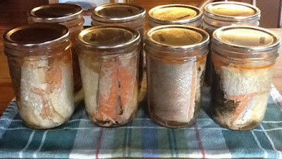 canned salmon