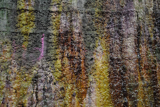 A photo of the multicoloured ooze on the damp tunnel walls.  Photograph by Kevin Nosferatu for the Skulferatu Project.