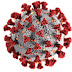 ▷¿Qué se sabe de la nueva cepa de coronavirus?✔