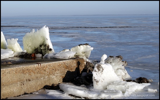 30. januar 2011 012
