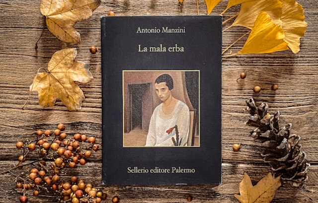 Recensione 'La mala erba' di Antonio Manzini - Sellerio - La Libridinosa