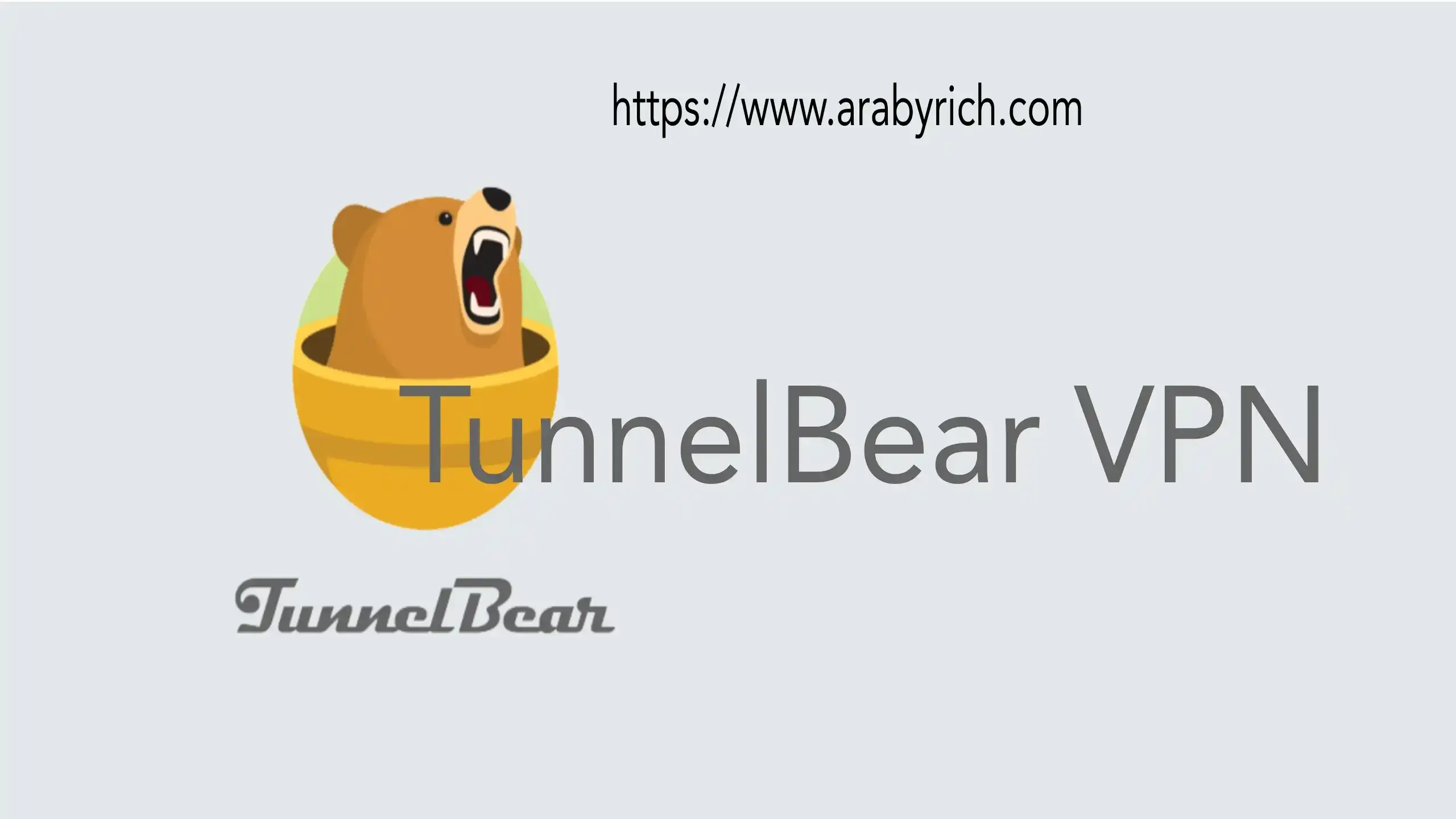 إضافة كروم رقم TunnelBear VPN
